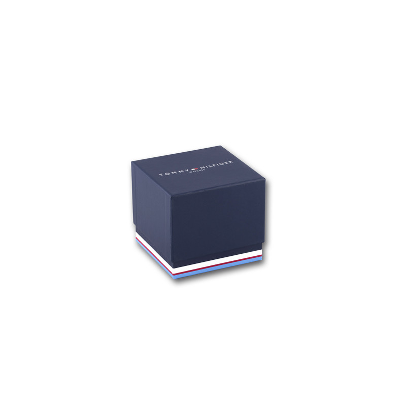 Montre tommy hotsell hilfiger damon