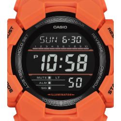 GD-010-4ER GD-010-4ER