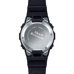 DW-5000R-1AER DW-5000R-1AER